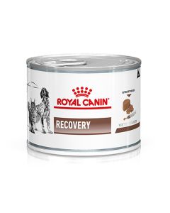 Royal Canin Cat & Dog Recovery 195gr