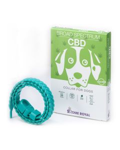 Rome Royal Περιλαίμιο Σκύλου με CBD Large 63cm