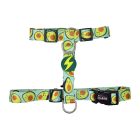 Dashi Σαμαράκι Σκύλου Back Avocado M 42-69cm