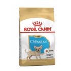 Royal Canin Chihuahua Puppy 500gr