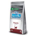 Vetlife Cat Hepatic με Κοτόπουλο 2kg