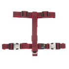 Zooland Σαμαράκι Mixer Lead Series Μαύρο/Κόκκινο M 2x50-70cm