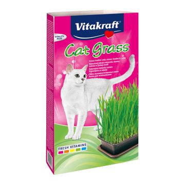 Vitakraft Cat Grass Γρασίδι Γάτας 120gr