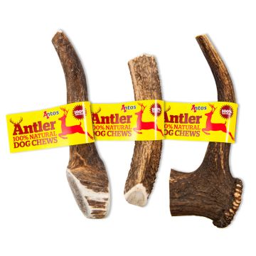 Antler XLarge Κόκαλο Κέρατο 220gr-270gr (1τμχ)