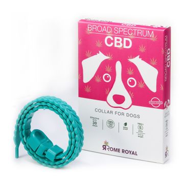 Rome Royal Περιλαίμιο Σκύλου με CBD Small 37cm