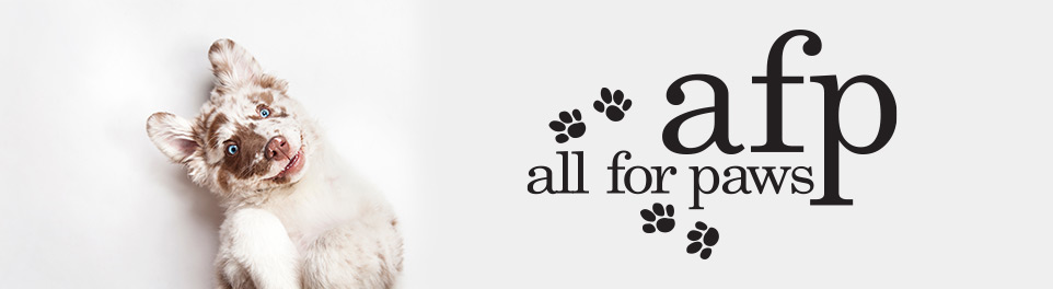 All for paws