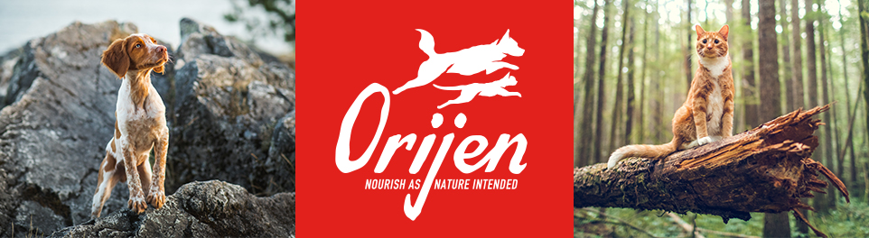 Orijen